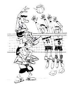 Volleyball